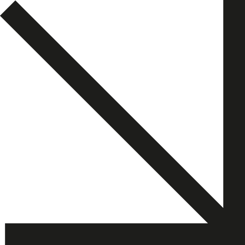 The beverages Family flèche noire - TBF Force de vente mutualisée en GMS